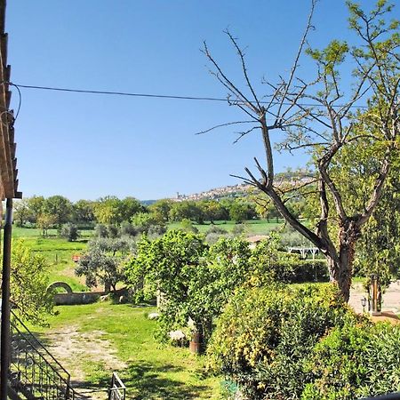 B&B Torrematta Assisi Exterior foto