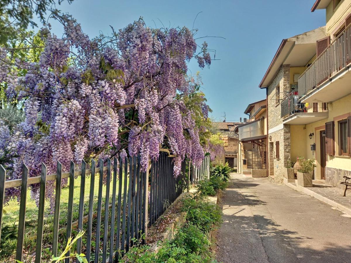 B&B Torrematta Assisi Exterior foto