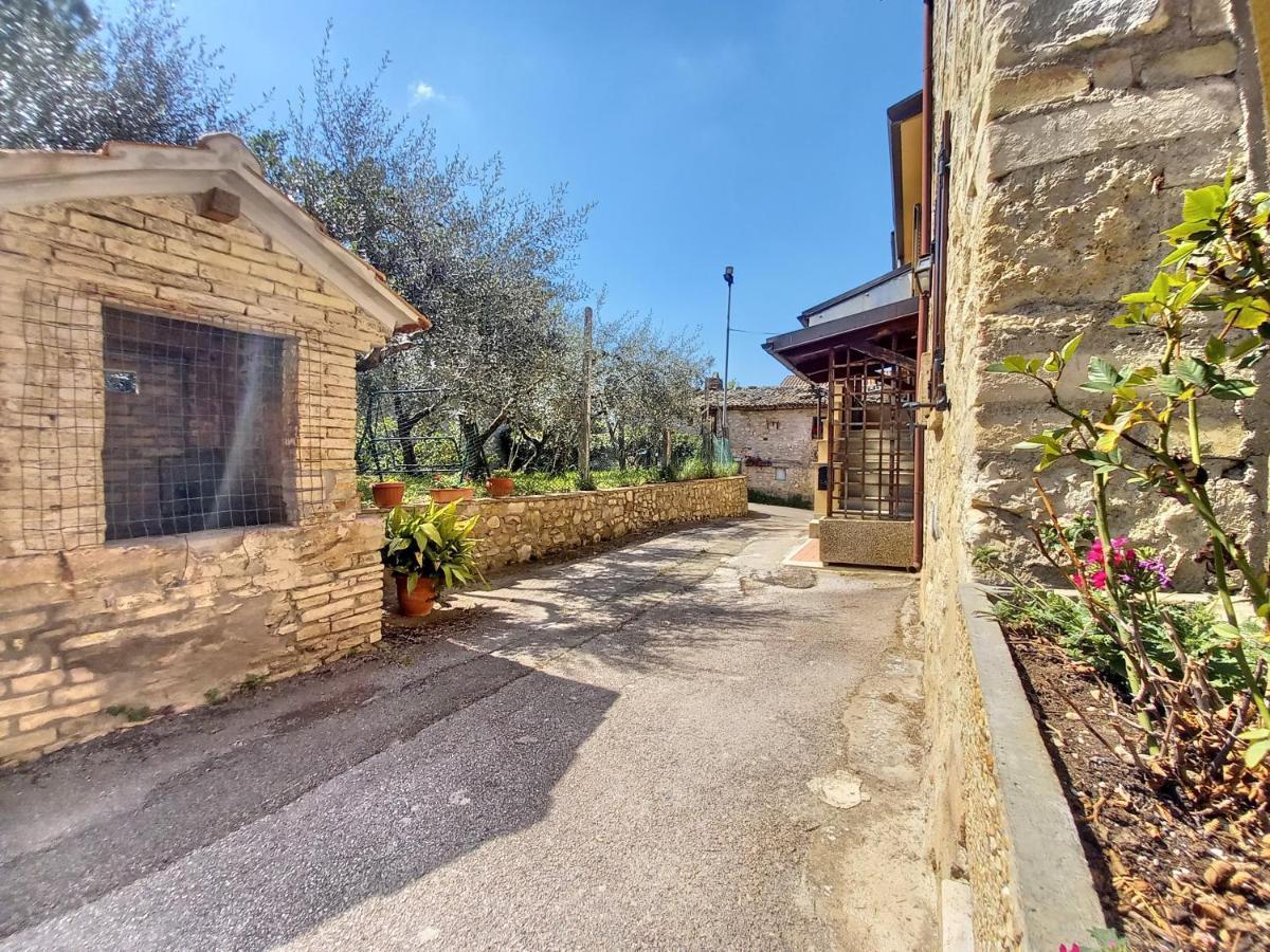 B&B Torrematta Assisi Exterior foto