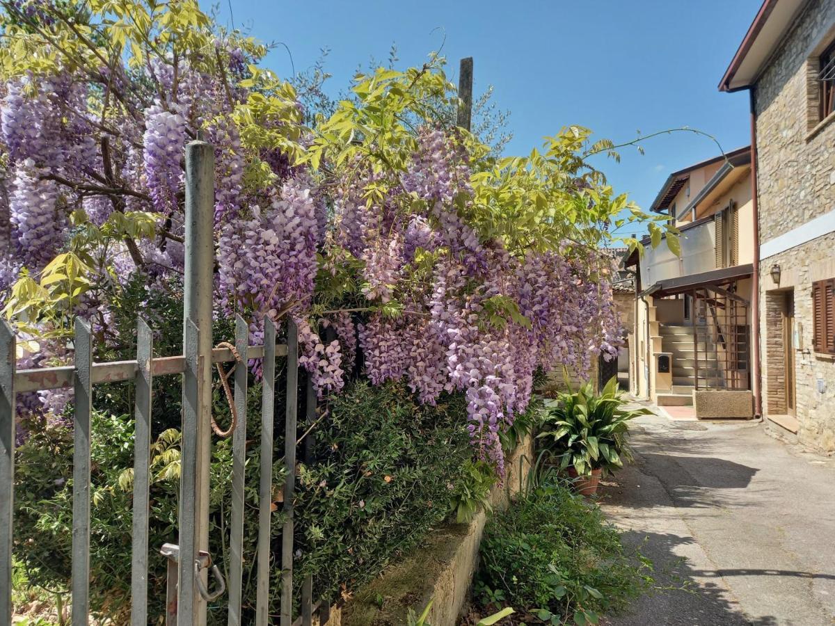 B&B Torrematta Assisi Exterior foto