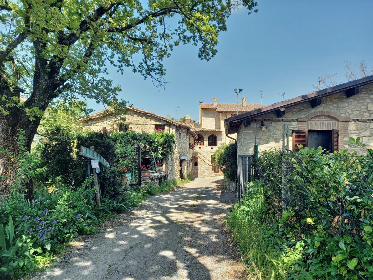 B&B Torrematta Assisi Exterior foto